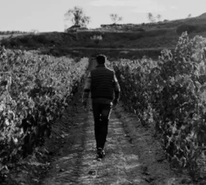 Bodegas Valdeloyo