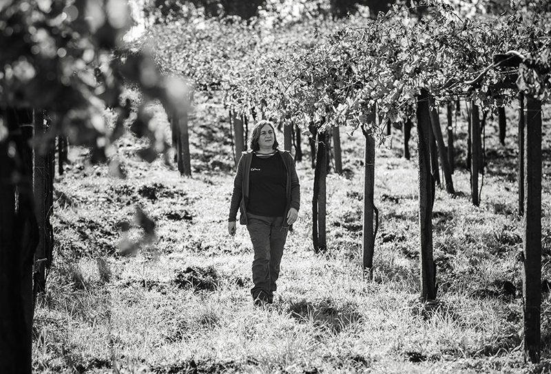 Viticultora de Bodegas Corisca entre las cepas