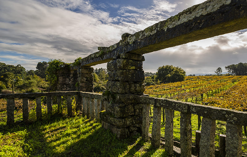 Finca Muiño y paisaje de viñedo de Corisca
