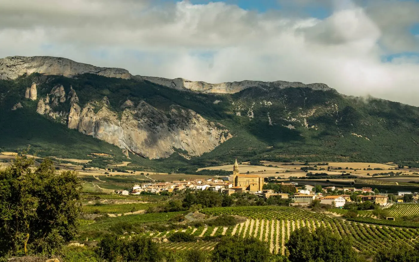 Paisaje de viñedos de Rioja Alavesa junto a la Sierra de Cantabria
