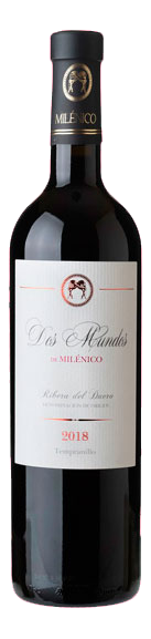Botella de Dos Mundos