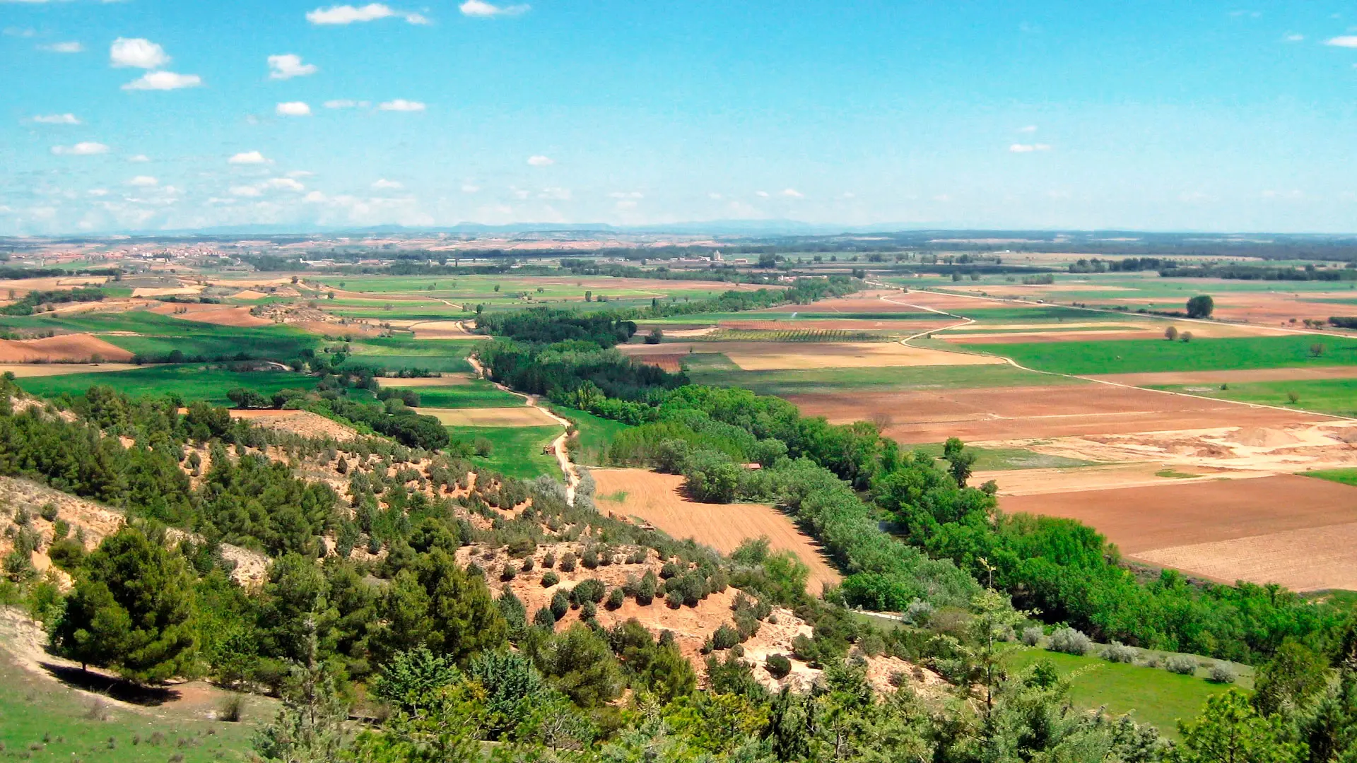 Paisaje de la Ribera del Duero en San Martín de Rubiales