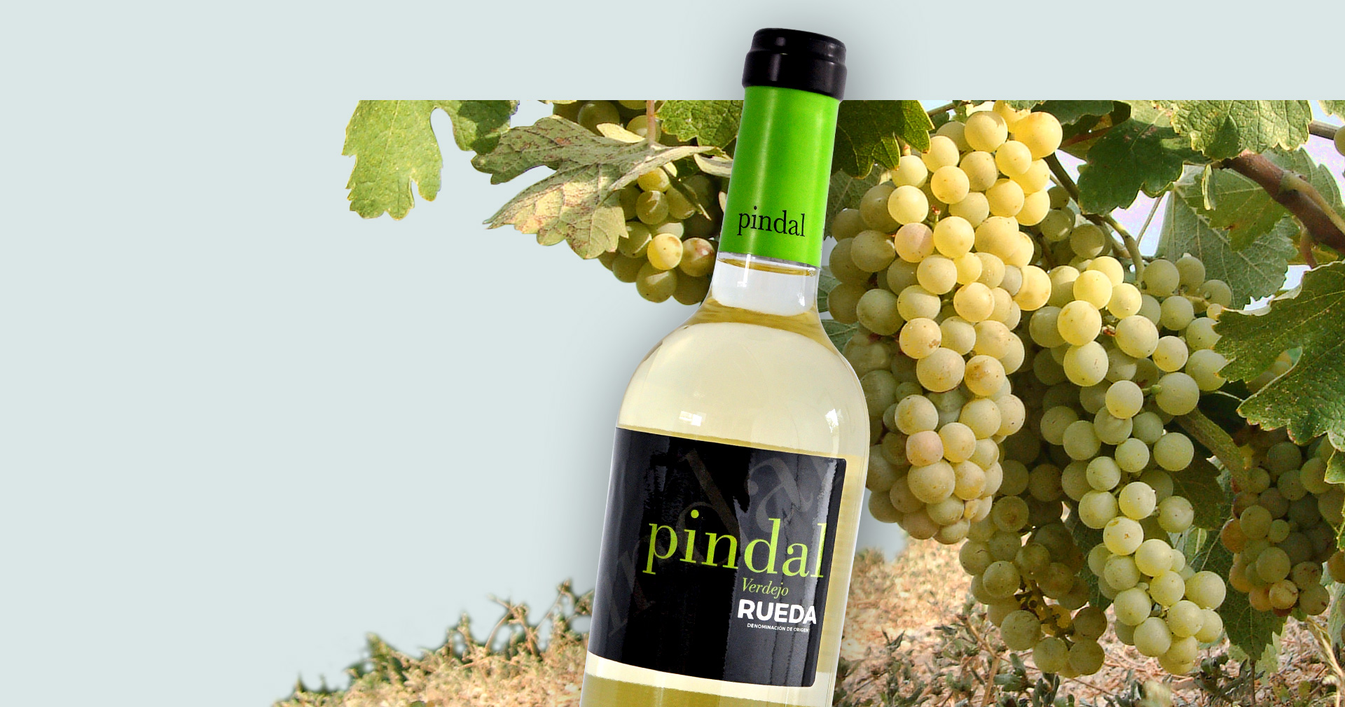 Botella de Pindal Verdejo entre racimos de uva verdeja
