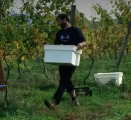 Bodegas Sel D’Aiz