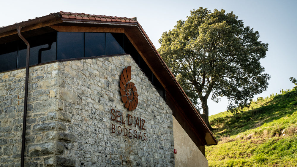 Bodega Sel D'Aiz en Castillo Pedroso