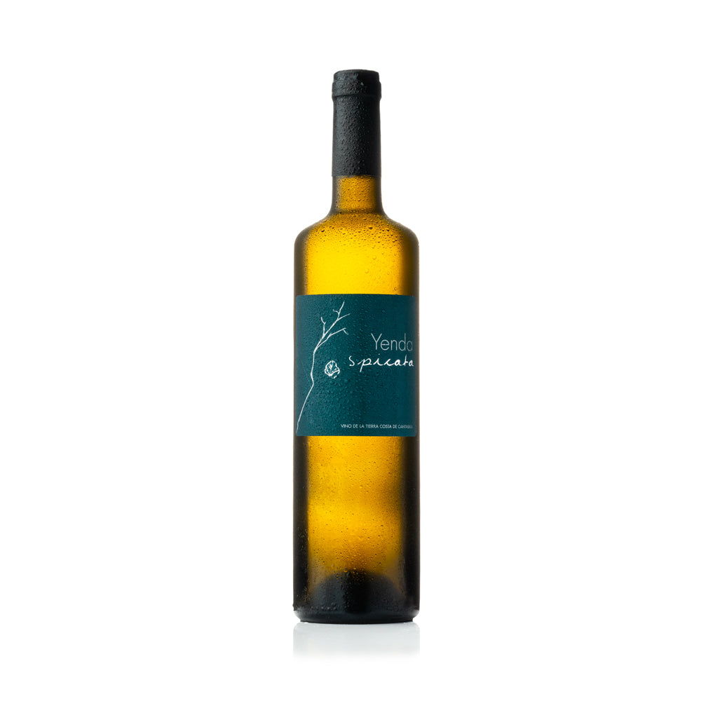 Botella de Yenda Spicata