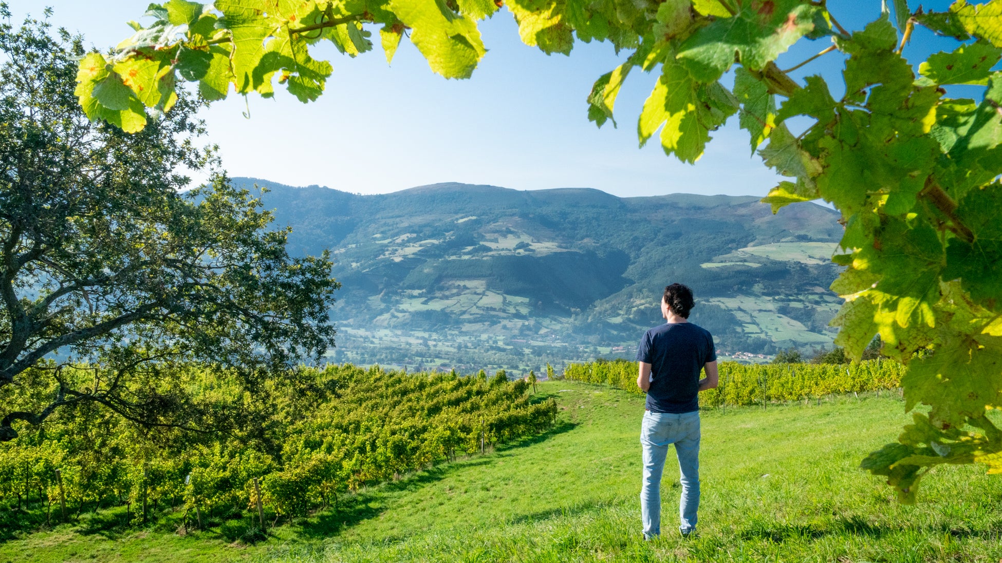 Experiencia de cata en Bodegas Sel D'Aiz