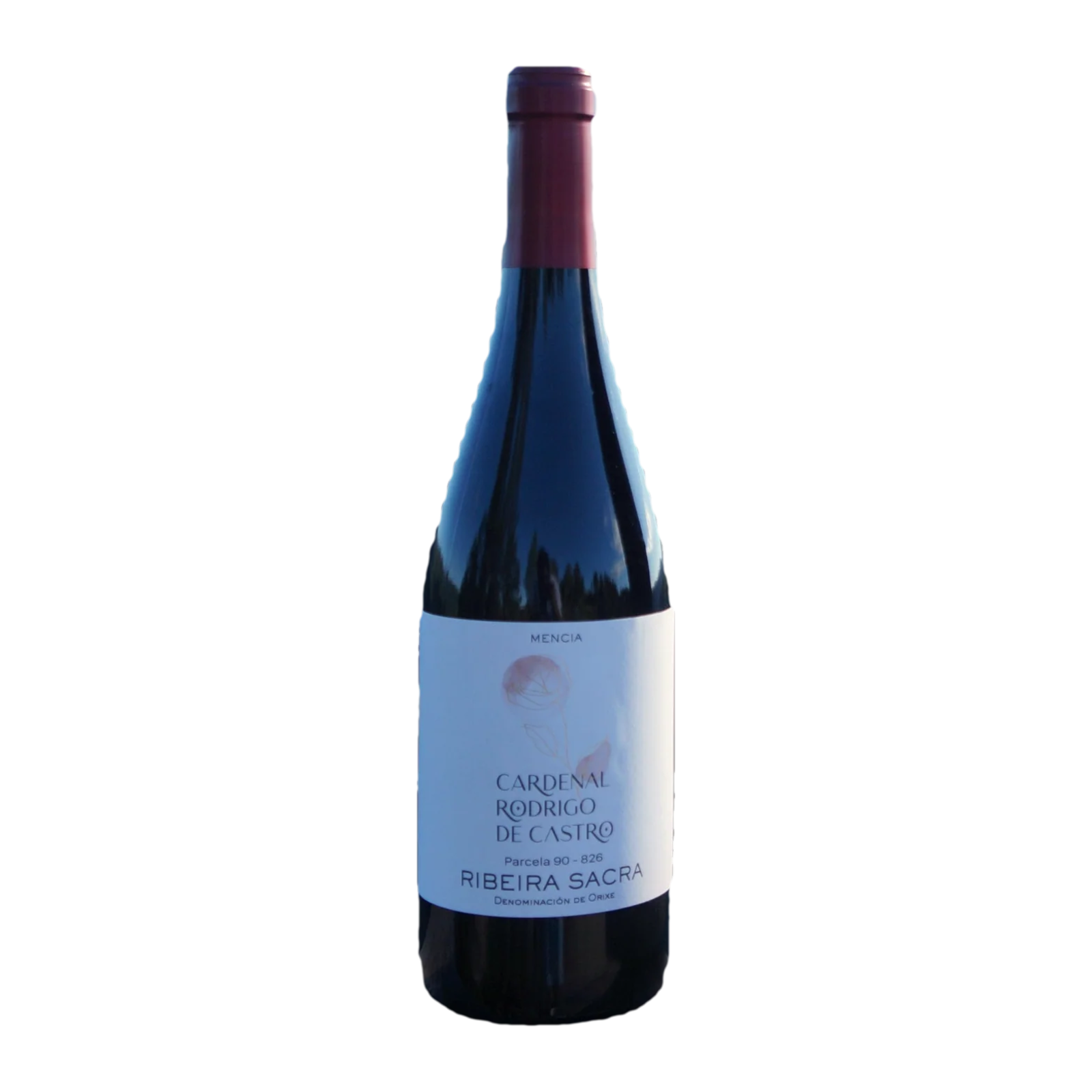 Botella de Cardenal Rodrigo de Castro Tinto 2023